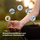 Формула спокойствия для владельца газопровода